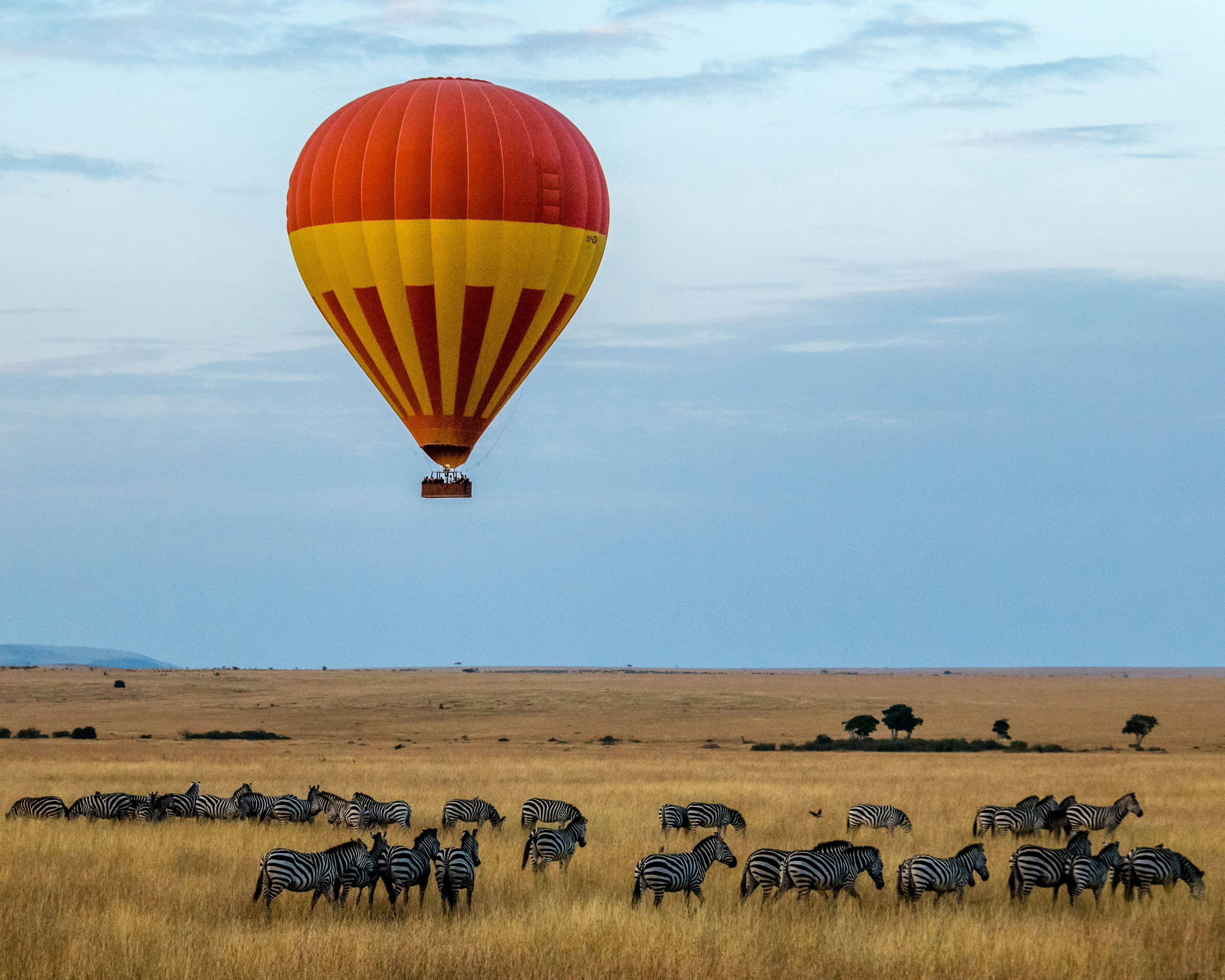 Hot air balloon over field with zebras in Africa